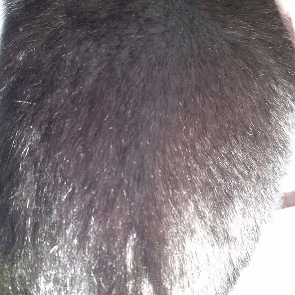 NWOT Fox Fur Collar/Scarf - Picture 3 of 5